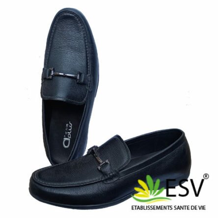 Chaussure Aplus Energie Homme
